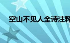 空山不见人全诗注释（空山不见人全诗）