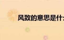 风致的意思是什么（风致的意思）