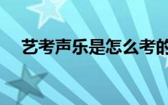艺考声乐是怎么考的（考试内容有哪些）