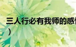 三人行必有我师的感悟（三人行必有我师翻译）