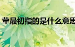 荤最初指的是什么意思（荤最初指的是什么）
