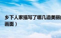 乡下人家描写了哪几道美丽的风景（乡下人家描写了哪几幅画面）