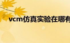 vcm仿真实验在哪有售（vcm仿真实验）