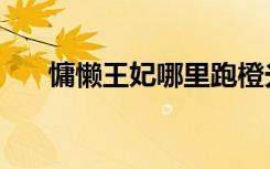 慵懒王妃哪里跑橙光游戏（慵懒王妃）