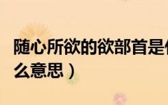 随心所欲的欲部首是什么（随心所欲的欲是什么意思）