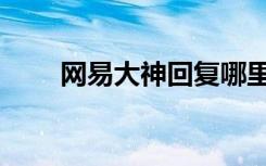 网易大神回复哪里看（网易神回复）