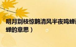 明月别枝惊鹊清风半夜鸣蝉诵读（明月别枝惊鹊清风半夜鸣蝉的意思）