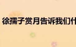 徐孺子赏月告诉我们什么道理（徐孺子赏月）