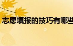 志愿填报的技巧有哪些（怎么报志愿比较好）
