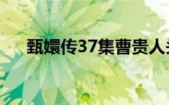 甄嬛传37集曹贵人头饰（甄嬛传37集）