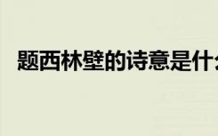 题西林壁的诗意是什么（题西林壁的诗意）