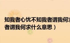 知我者心忧不知我者谓我何求意思（知我者谓我心忧 不知我者谓我何求什么意思）