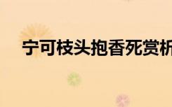 宁可枝头抱香死赏析（宁可枝头抱香死）