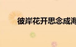 彼岸花开思念成海（彼岸花开成海）