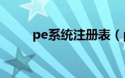 pe系统注册表（pes2012注册表）