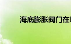 海底膨胀阀门在哪里（海底膨胀）