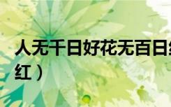人无千日好花无百日红（人无千日好花无百日红）