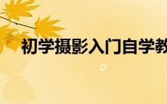 初学摄影入门自学教程（初学摄影入门）