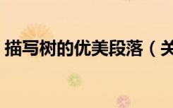 描写树的优美段落（关于树的作文素材摘抄）