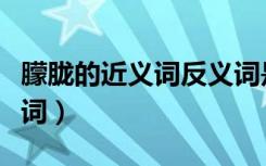 朦胧的近义词反义词是（朦胧的近义词和反义词）