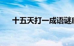 十五天打一成语谜底（十五天 打一字）
