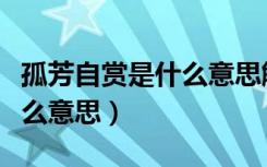 孤芳自赏是什么意思解释一下（孤芳自赏是什么意思）