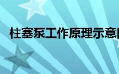 柱塞泵工作原理示意图（柱塞泵工作原理）
