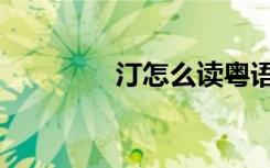 汀怎么读粤语（汀怎么读）