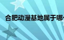 合肥动漫基地属于哪个区（合肥动漫基地）