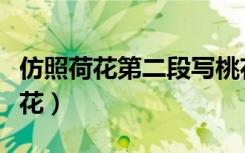 仿照荷花第二段写桃花（仿照荷花第二段写桃花）