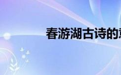 春游湖古诗的意思（春游湖）