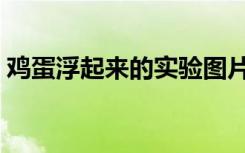 鸡蛋浮起来的实验图片（鸡蛋浮起来的实验）