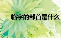 临字的部首是什么（除去部首剩几画）