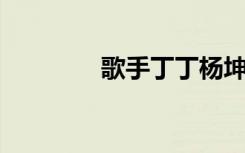 歌手丁丁杨坤（丁丁 杨坤）