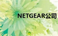 NETGEAR公司（netgear官网）
