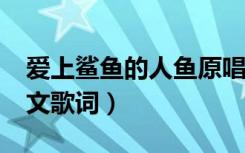 爱上鲨鱼的人鱼原唱mv（爱上鲨鱼的人鱼中文歌词）