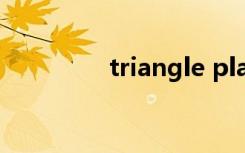 triangle player怎么翻译