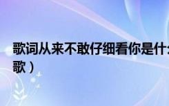 歌词从来不敢仔细看你是什么歌（从来不敢仔细看你是什么歌）