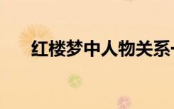 红楼梦中人物关系一览表（红楼梦中）
