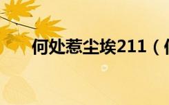 何处惹尘埃211（何处惹尘埃的意思）