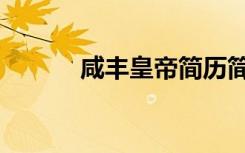咸丰皇帝简历简介（咸丰皇帝）