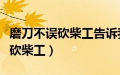 磨刀不误砍柴工告诉我们什么道理（磨刀不误砍柴工）