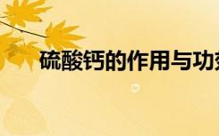 硫酸钙的作用与功效（硫酸钙溶解度）