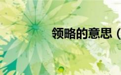 领略的意思（领略的意思）