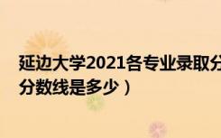 延边大学2021各专业录取分数线（2021延边大学各省录取分数线是多少）
