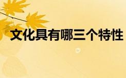 文化具有哪三个特性（文化具有哪些特征）