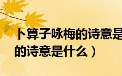 卜算子咏梅的诗意是什么30字（卜算子咏梅的诗意是什么）