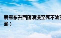 爱意东升西落浪漫至死不渝英语（爱意东升西落 浪漫至死不渝）