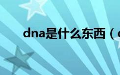 dna是什么东西（dna是什么意思啊）