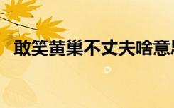 敢笑黄巢不丈夫啥意思（敢笑黄巢不丈夫）